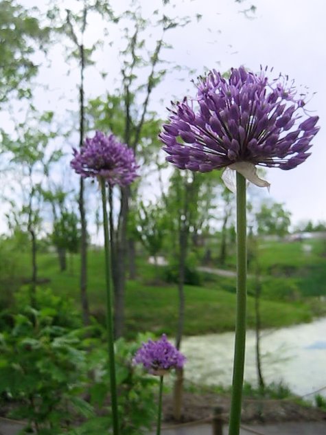 [at-creation-museum.jpg]