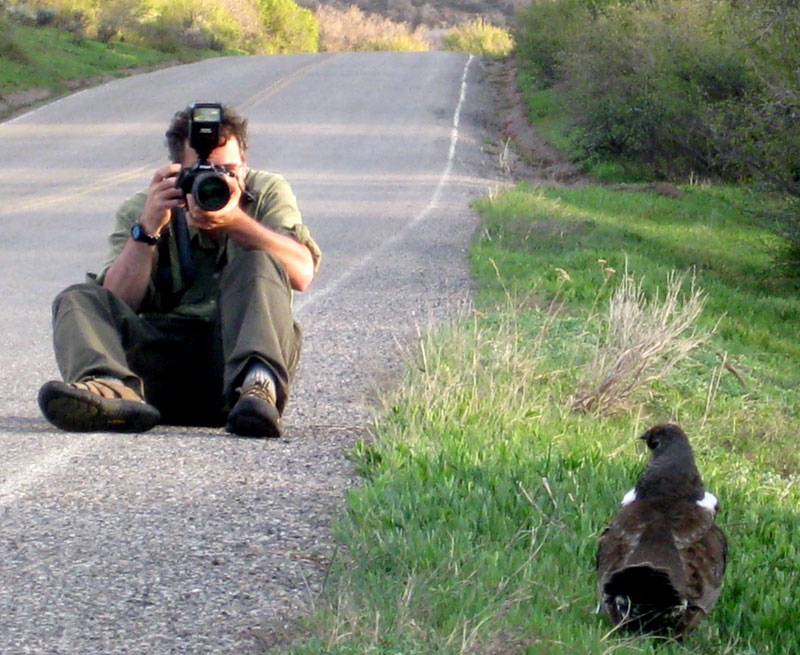 [gunnison-dan-photographing-grouse.jpg]