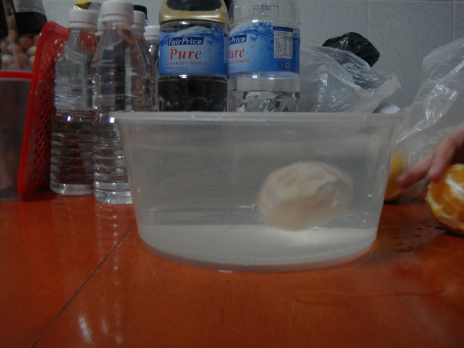 Beverly's Science Bay Fruits Float Experiment