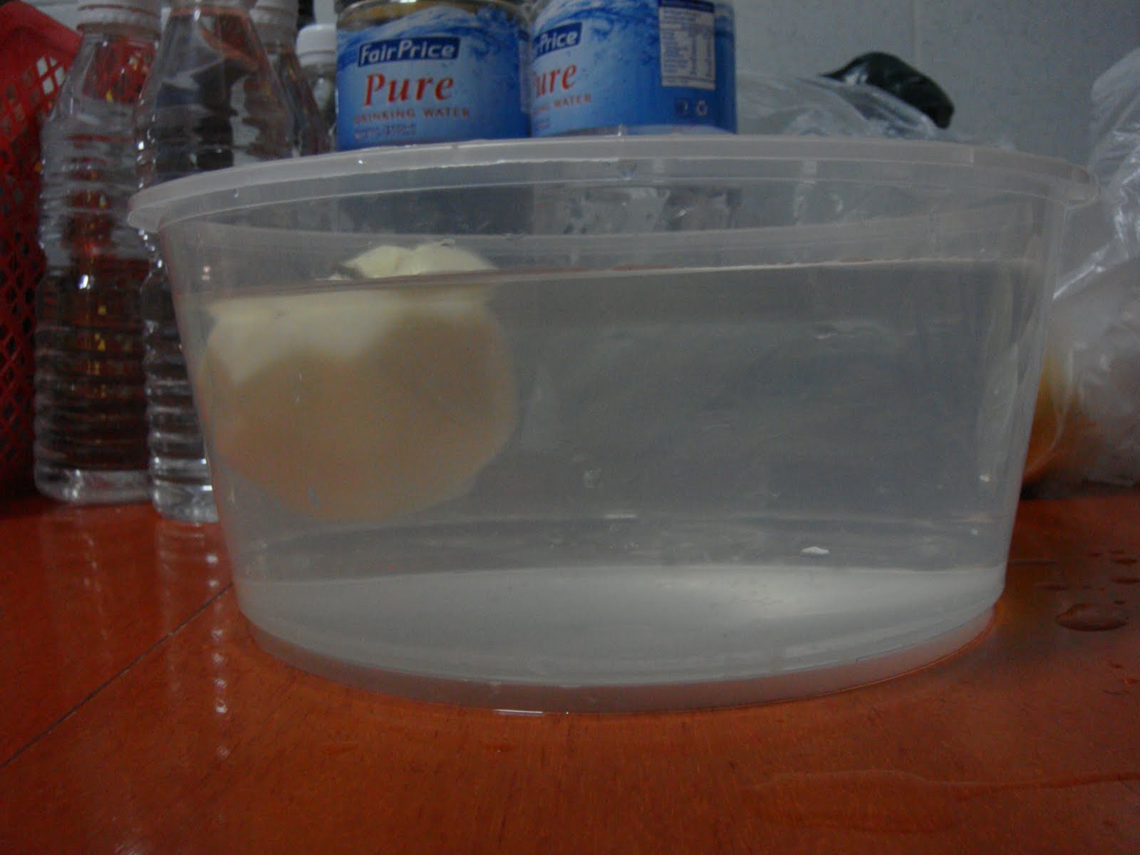 Beverly's Science Bay Fruits Float Experiment