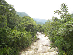 QUEBRADA LA BELLACA