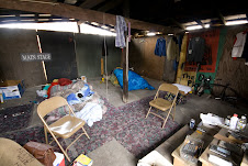 At Home in a Shed