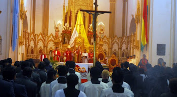 celebró un solemne Te Deum el arzobispo Tito Solari quién fue uno de los 200 agasajados