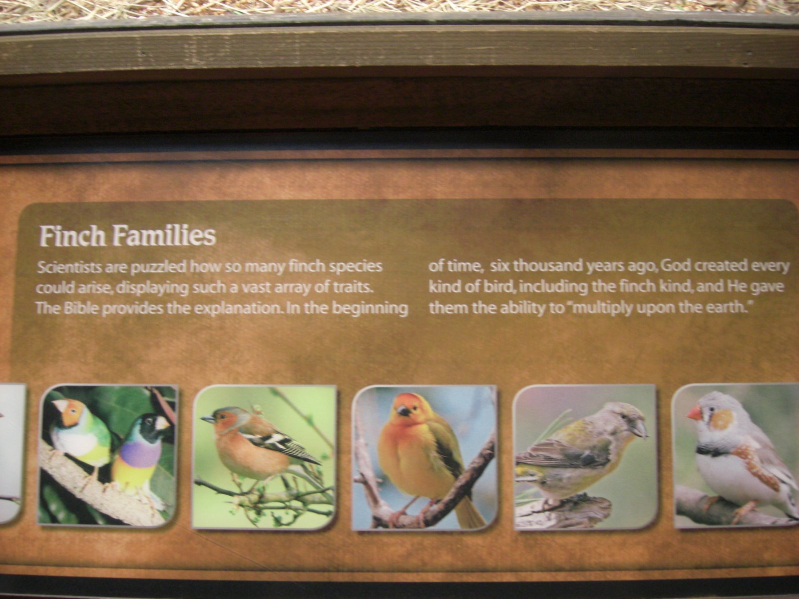 [Creation+Museum+011.jpg]