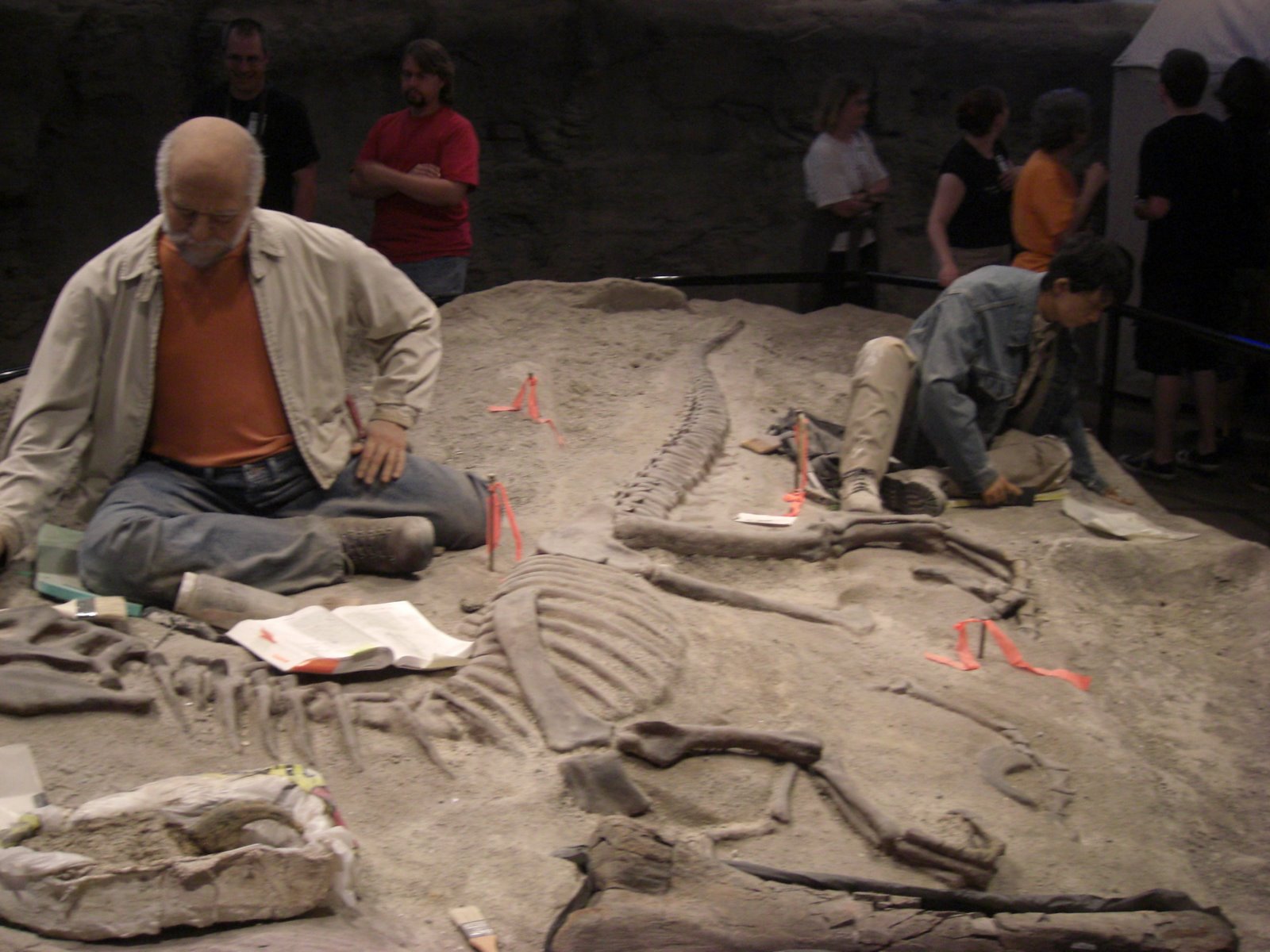 [Creation+Museum+014.jpg]
