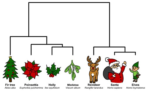 Still looking for Christmas cards?