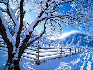 Free Christmas Winter Fence Wallpapers