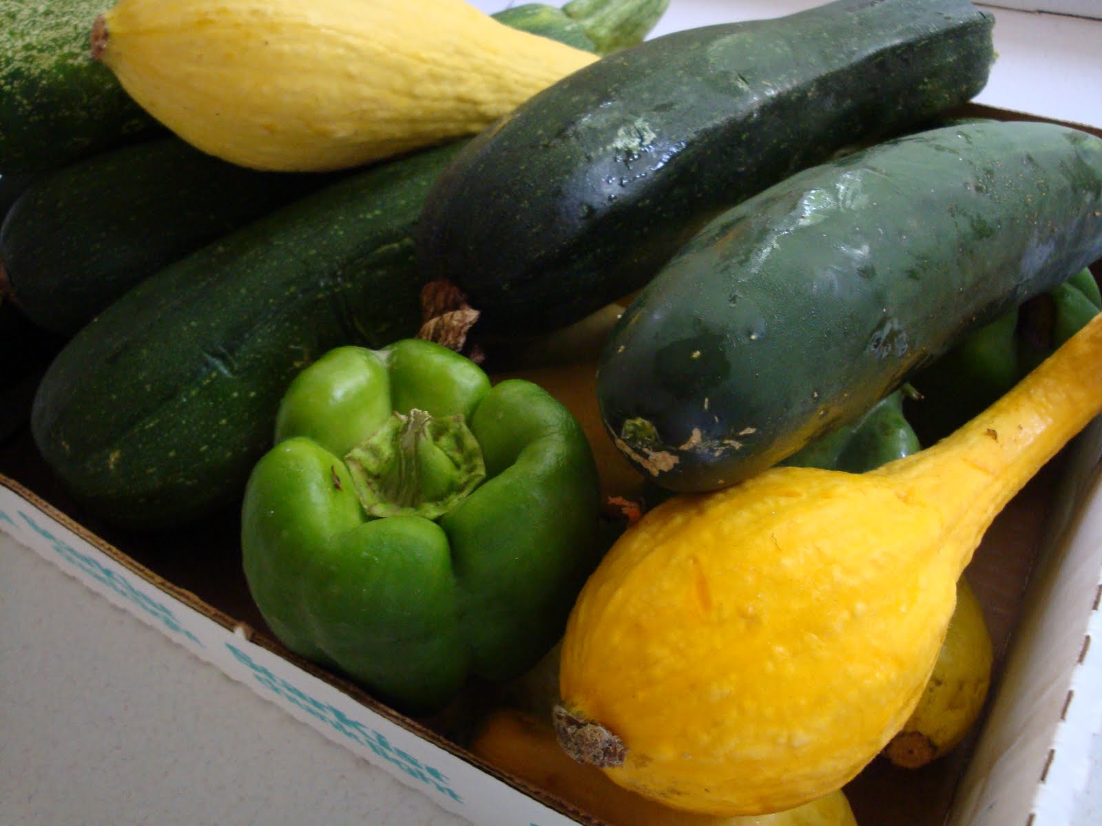 Serenity Now Braving the Food Processor (Zucchini Bread)