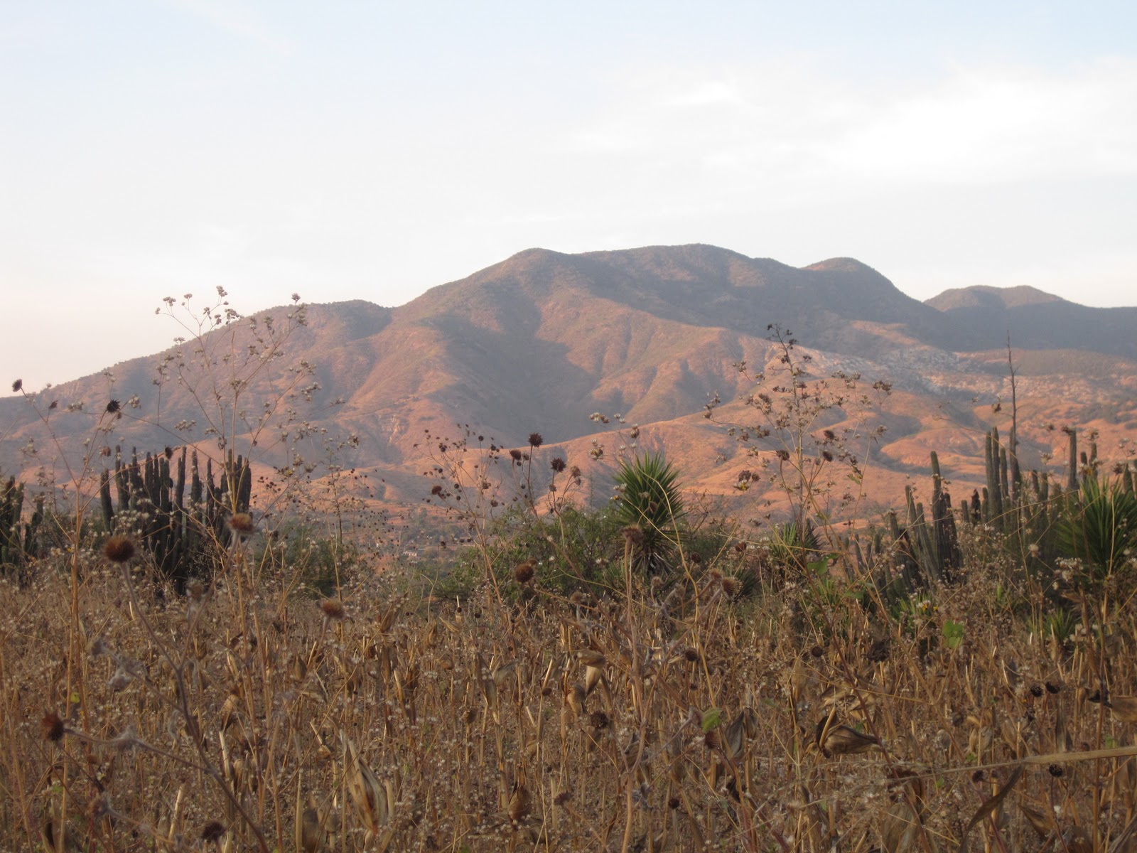Madeleines Reisetagebuch Santa Catarina Minas