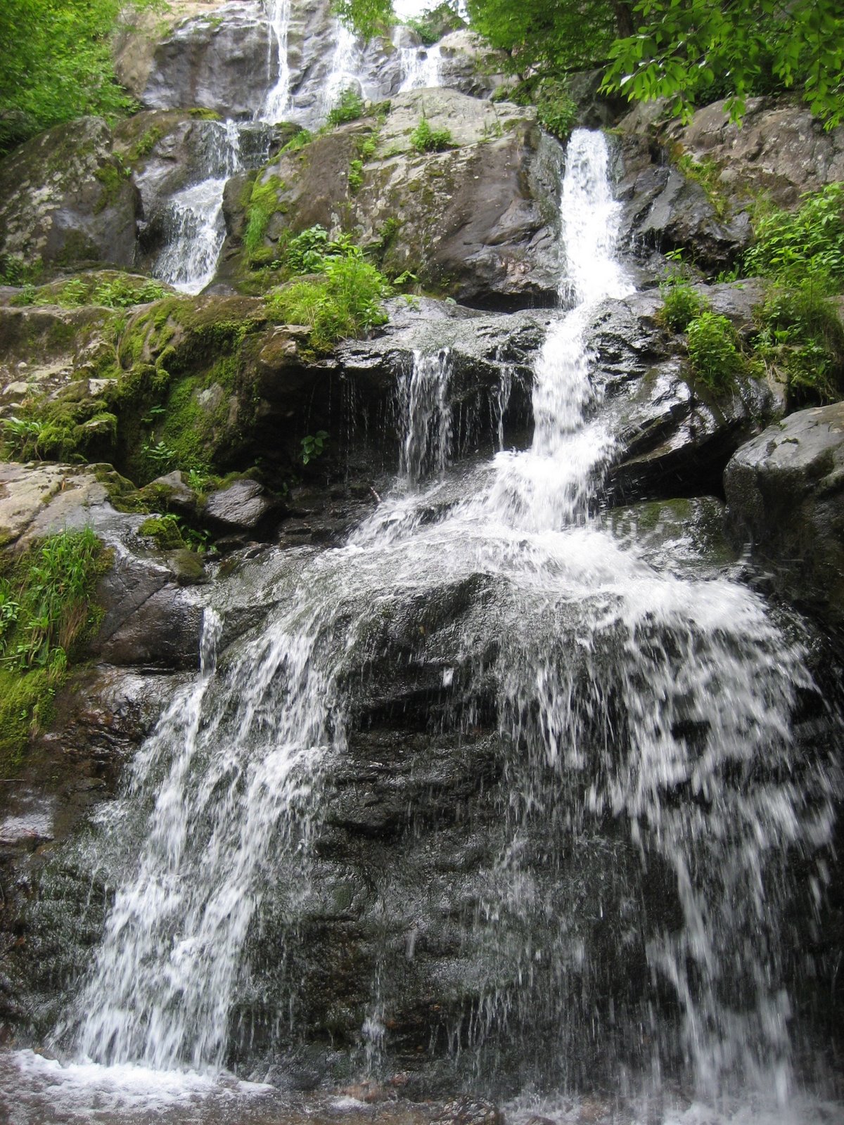 [IMG_0706.JPG]