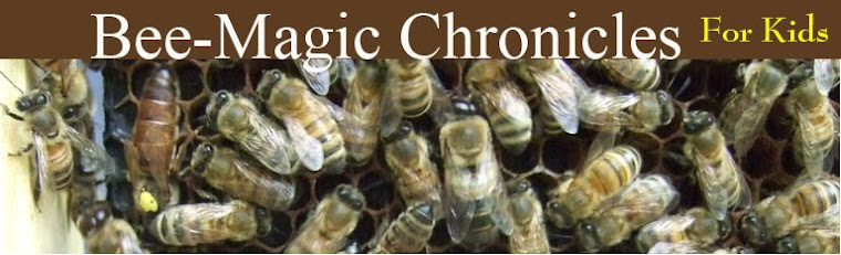 Bee-Magic Chronicles for Kids