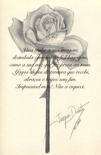 [ROSA+DIA+MÃE+jpg.jpg]