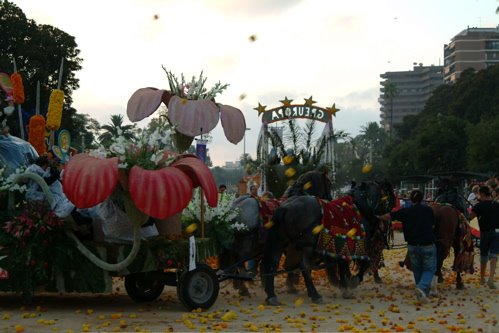 [BF+plena+batalla.jpg]