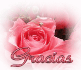 [graciasrosa.png]