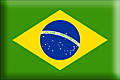 [flag_of_Brazil1.gif]