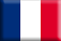 [flag_of_France.gif]