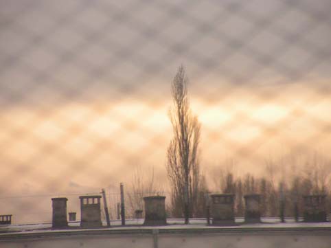 [PICT0164.JPG]