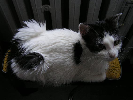 [PICT0014resized.jpg]