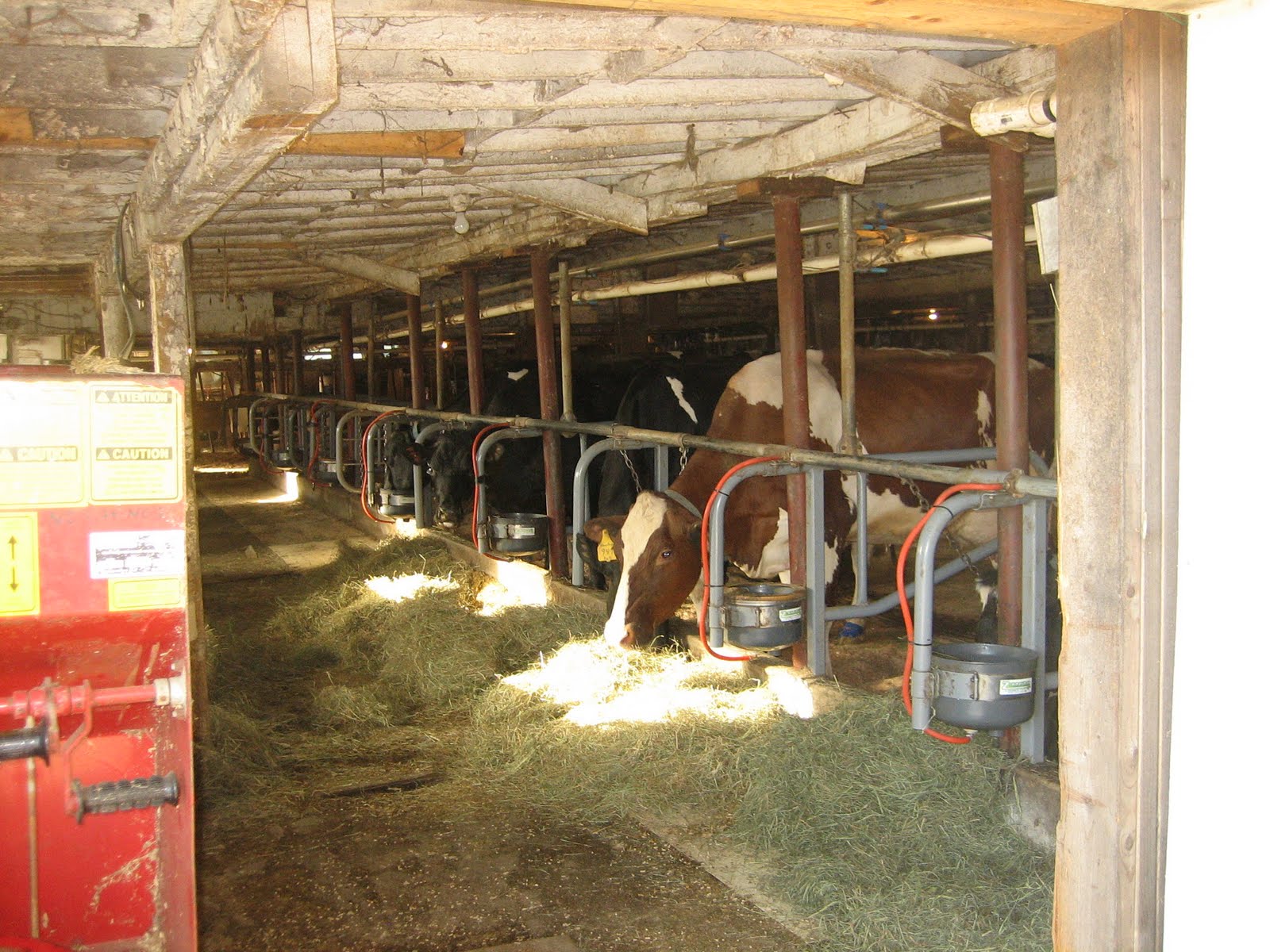 Local to Here Shaw Farm, Dracut, Massachusetts