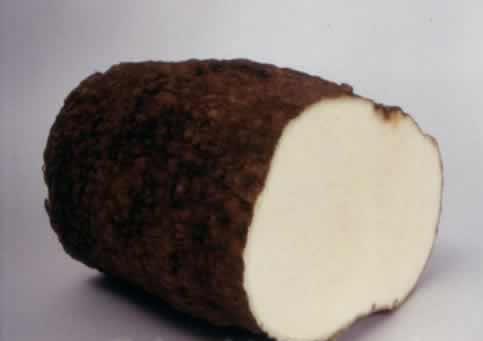 alternativas de cultivos: El Ñame