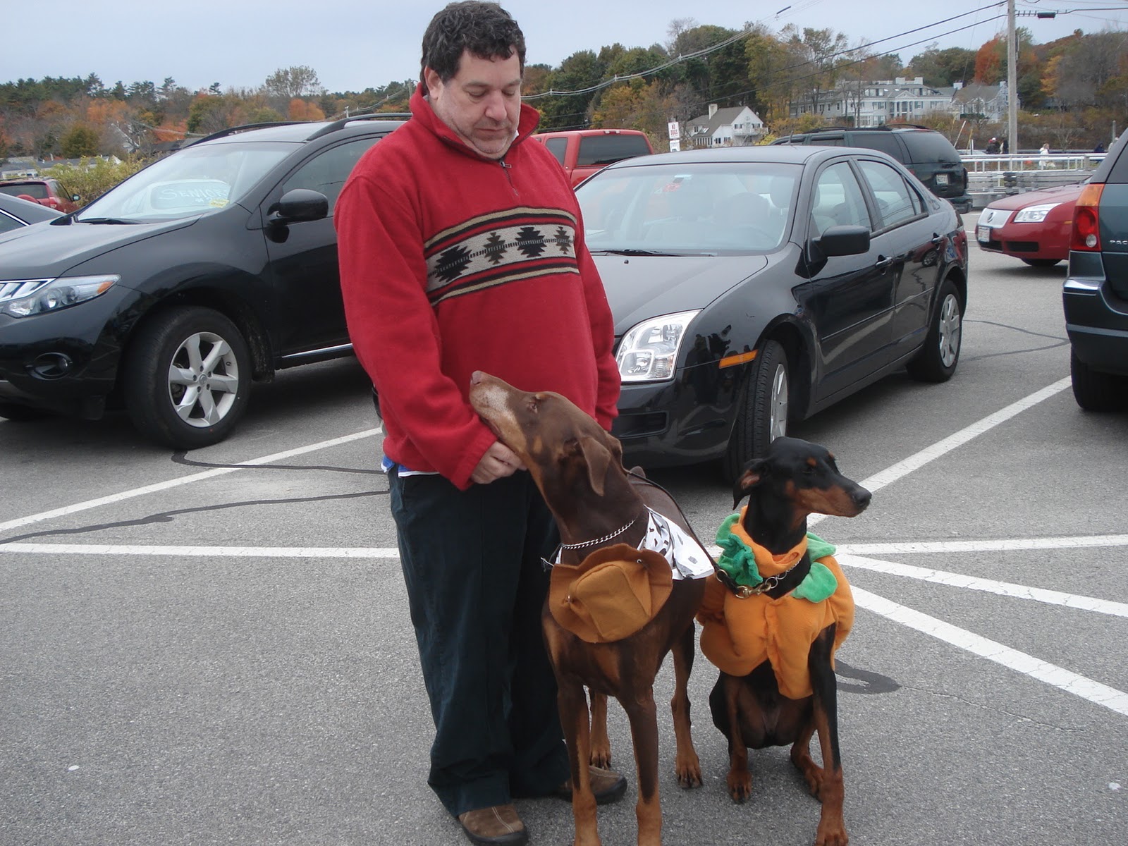 MAINE DOG TRAINER SERVICING DOG TRAINING NEEDS OF MAINE AND BEYOND