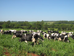 Agropecuária Puxiretê