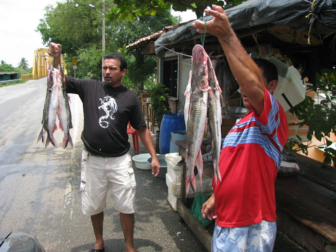 Pescado del rio san jorge
