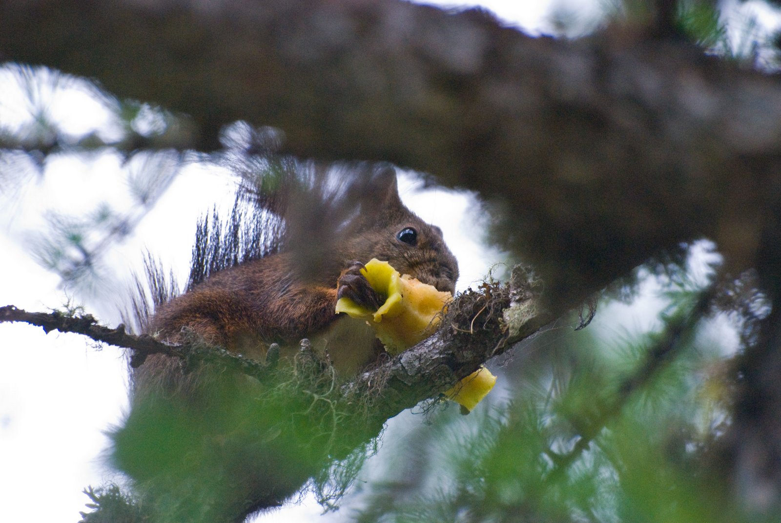 [Val-Roseg-071109_5-(3).jpg]