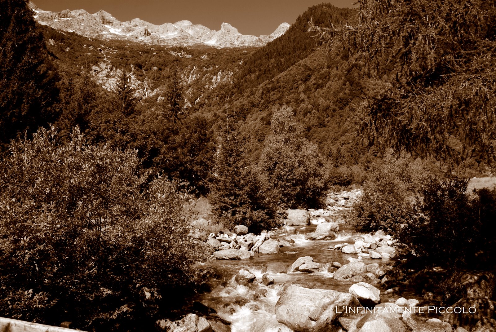 [Masino-071909_05.jpg]