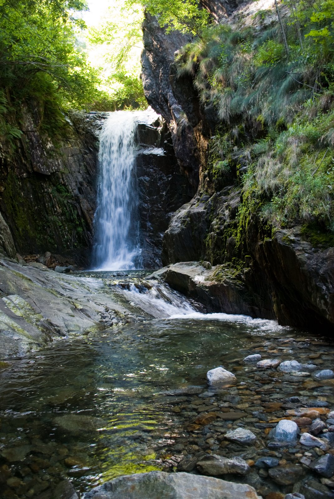 [Masino-071909_72.jpg]