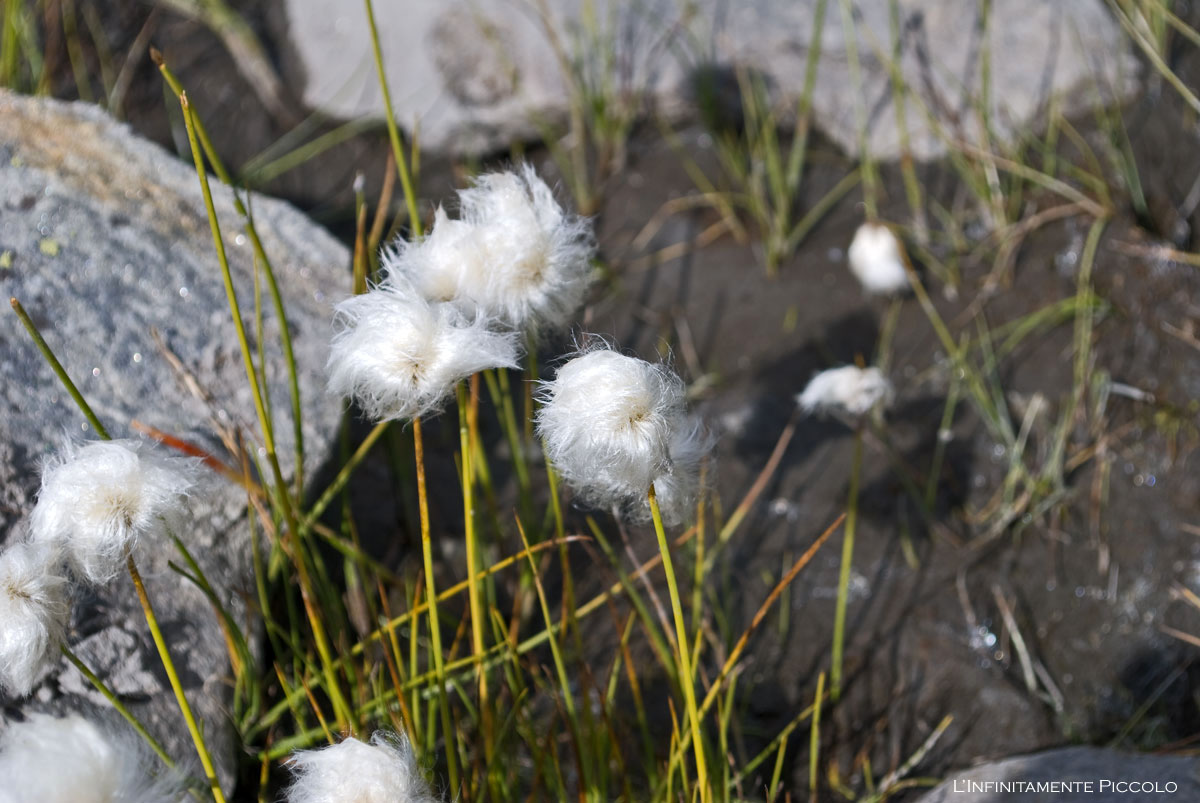[San+Gottardo+091309_034.jpg]