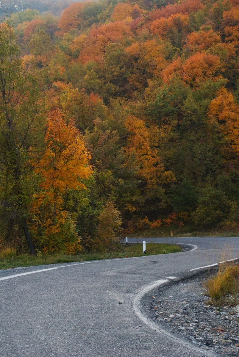 [Parcellara-10312009_.jpg]