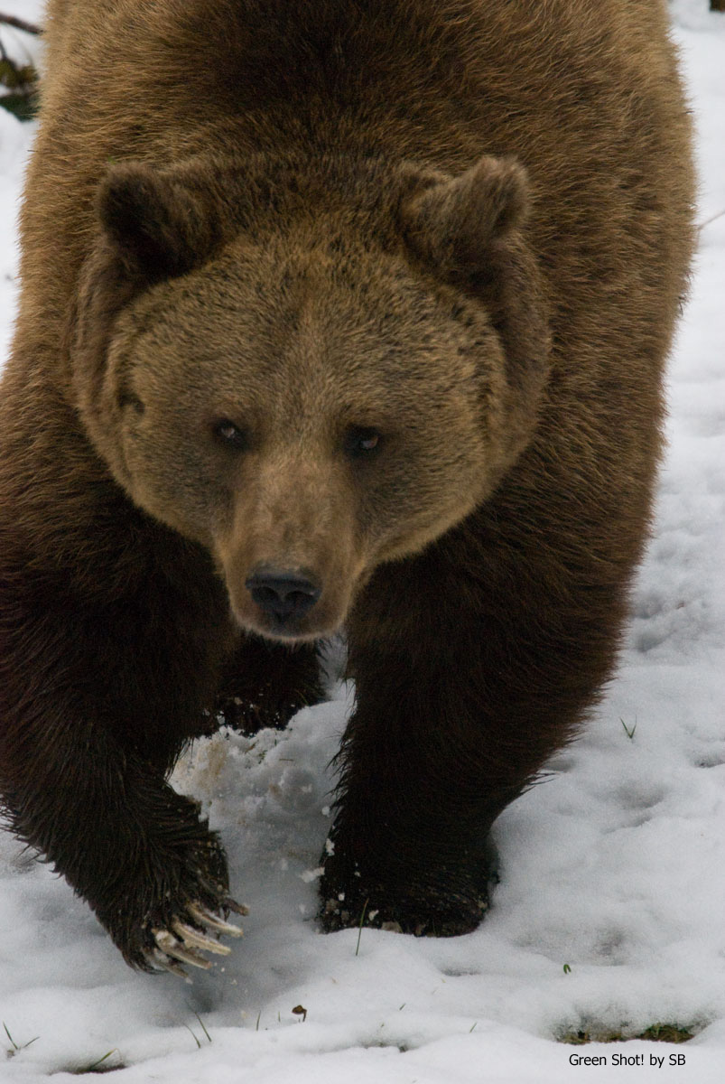 [Bayerischer-061209_06.jpg]