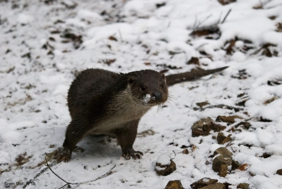 [Bayerischer-Wald-051209_05.jpg]