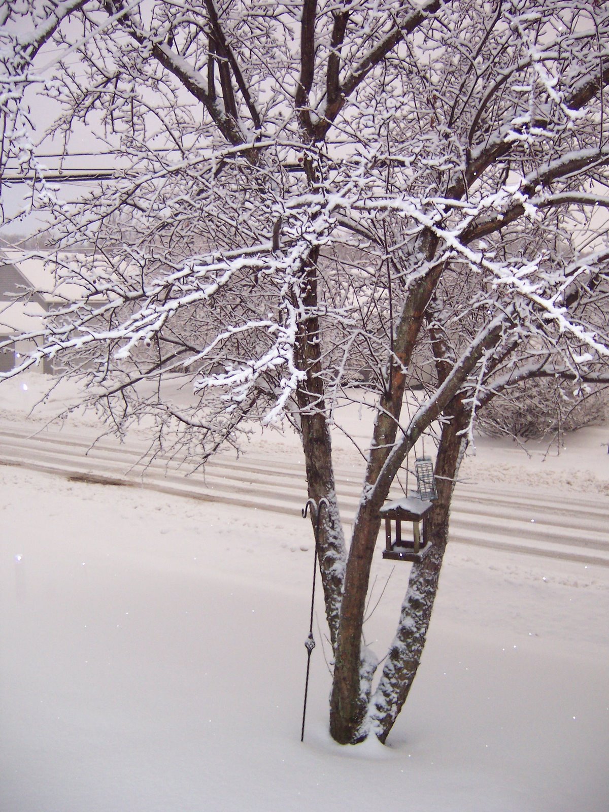 Tidings of Comfort and Joy Wordless Wednesday Christmas in July