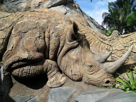 Beautiful And Amazing Wood Art Entertainment And 