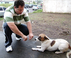 AMÔR AOS ANIMAIS