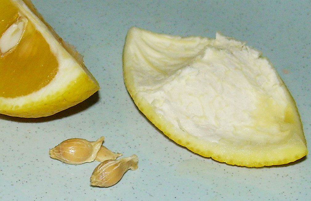 [golden-oranges-detail2.jpg]