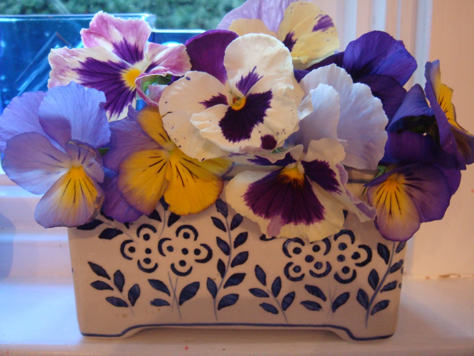 Rose Colored Glasses: November 2010