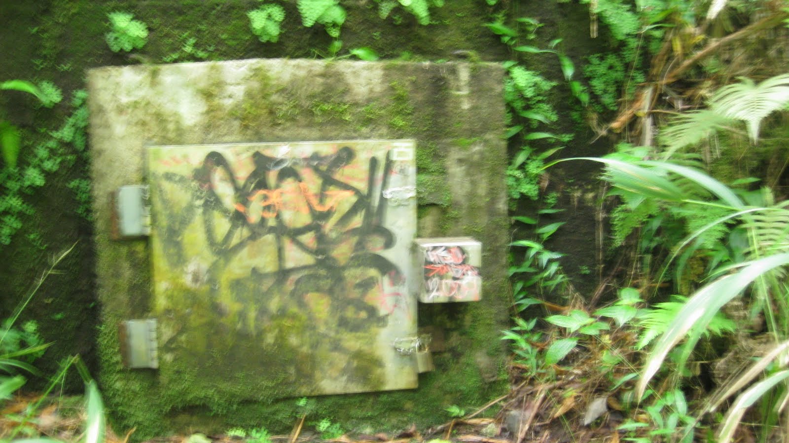 Where is Dave Wu Waiomao Stream Trail / Waimao Falls Trail