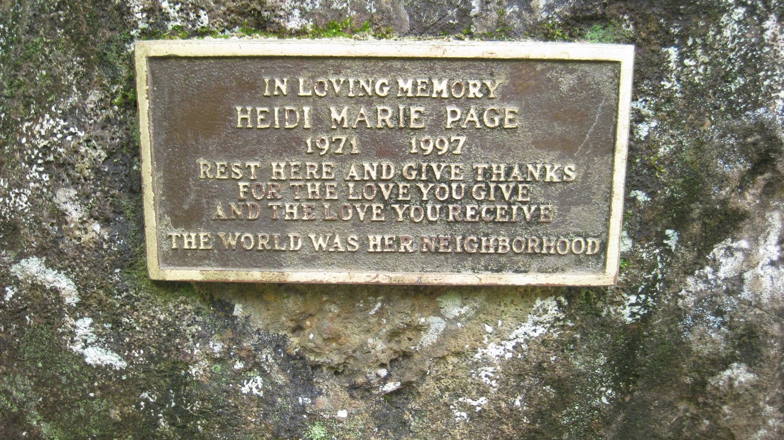 Where is Dave Wu Waiomao Stream Trail / Waimao Falls Trail