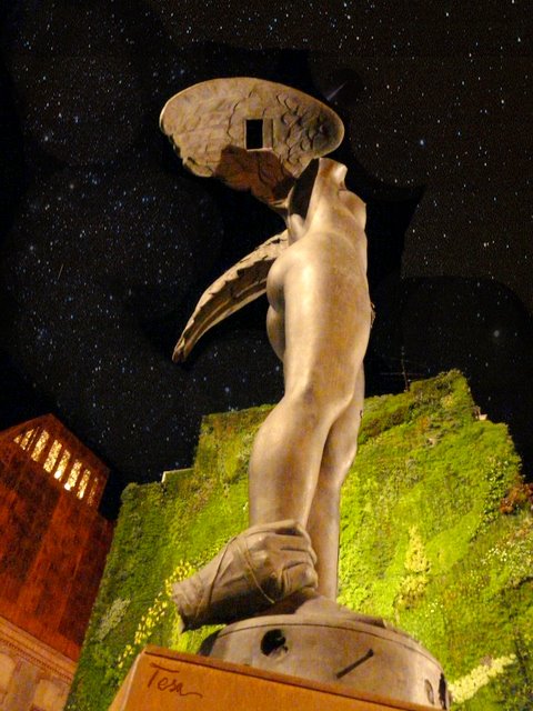 [mujer+voladora.jpg]