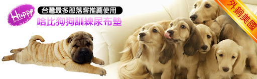 哈比狗狗寵物訓練尿布墊-線上訂購中心