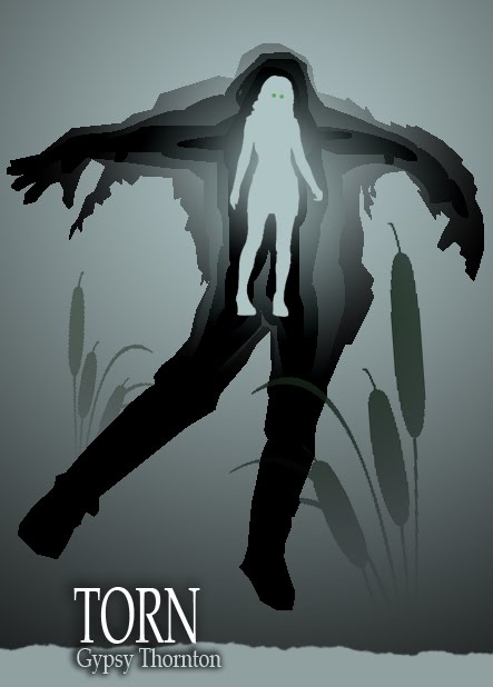[torn_gt.jpg]