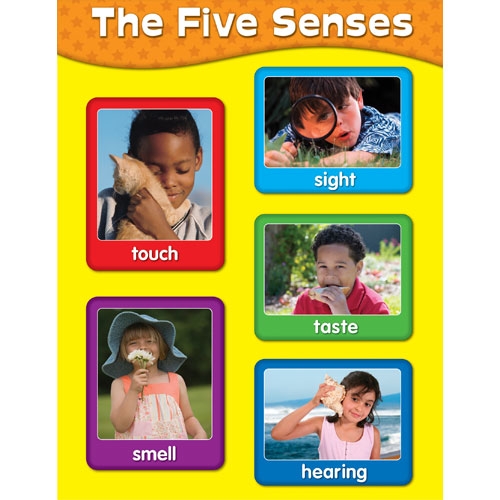 Gathering Data Through All Senses - Noah's 16 Habits of Mind