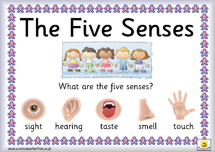 Senses1 - 5 Senses Kindergarten