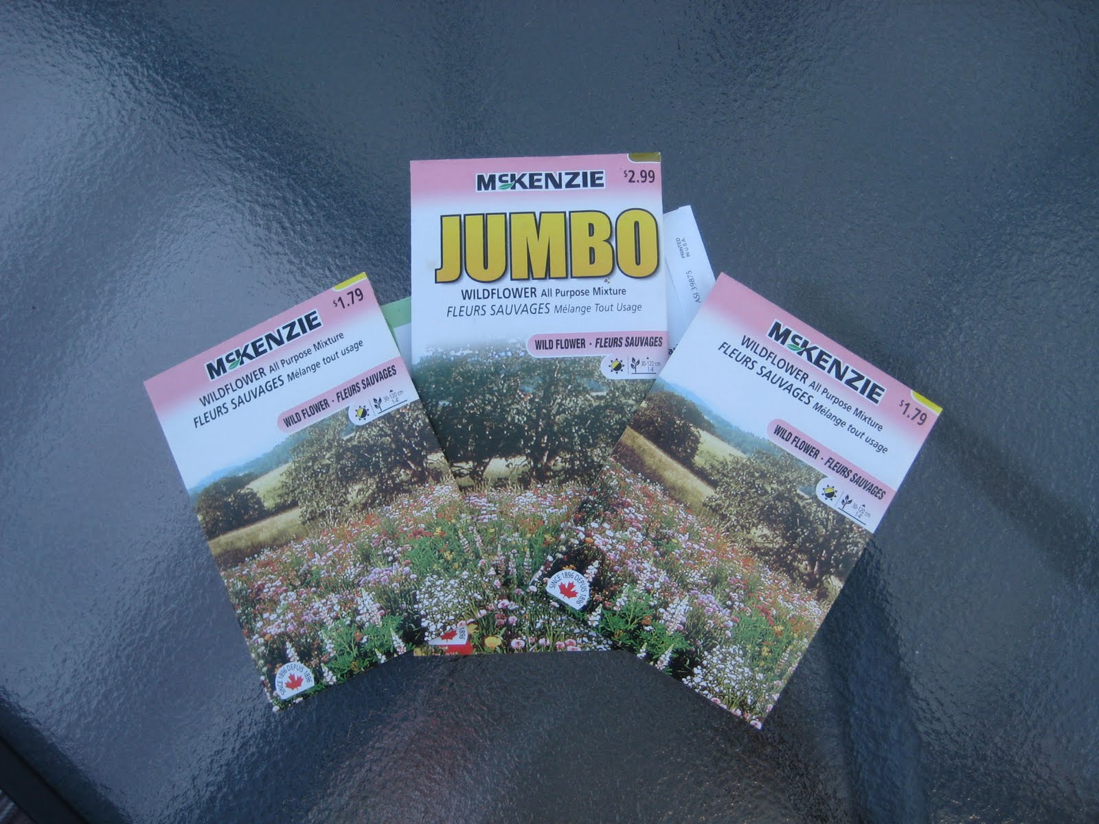 Girls Getting Stuff Done: Making a Garden Area (or getting the big pile