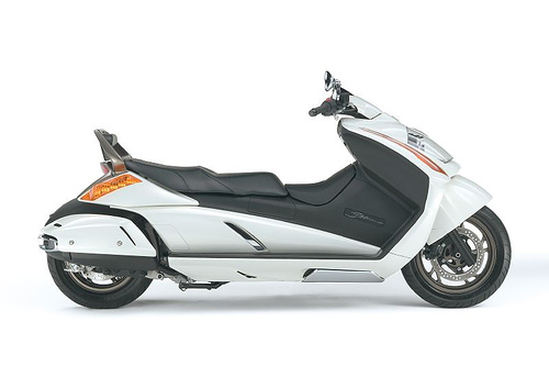 [suzuki_gemma_.jpg]