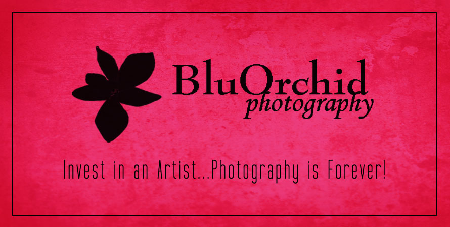 BluOrchid Photography