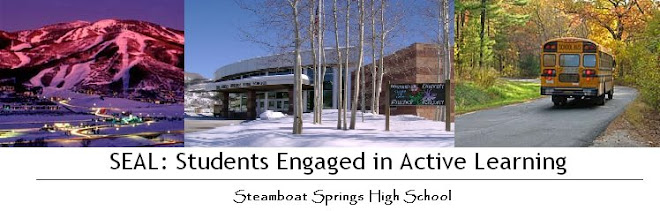 SEAL: Students Engaged in Active Learning